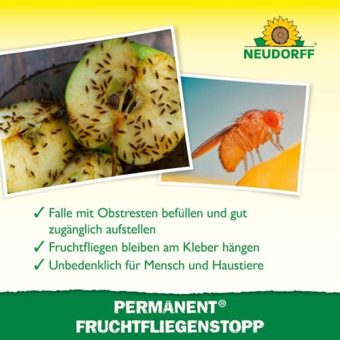 Neudorff Permanent FruchtfliegenStopp – Fängt effektiv Frucht,- Obst- und Essigfliegen mit 3 Monaten Langzeitwirkung. Geruchlos und insektizidfrei, 3 Stück 1379