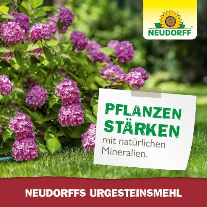 Neudorff UrgesteinsMehl - Natürliches Diabasgesteinsmehl mit natürlicher Langzeitwirkung, 2,5 kg für 25 m², 1320