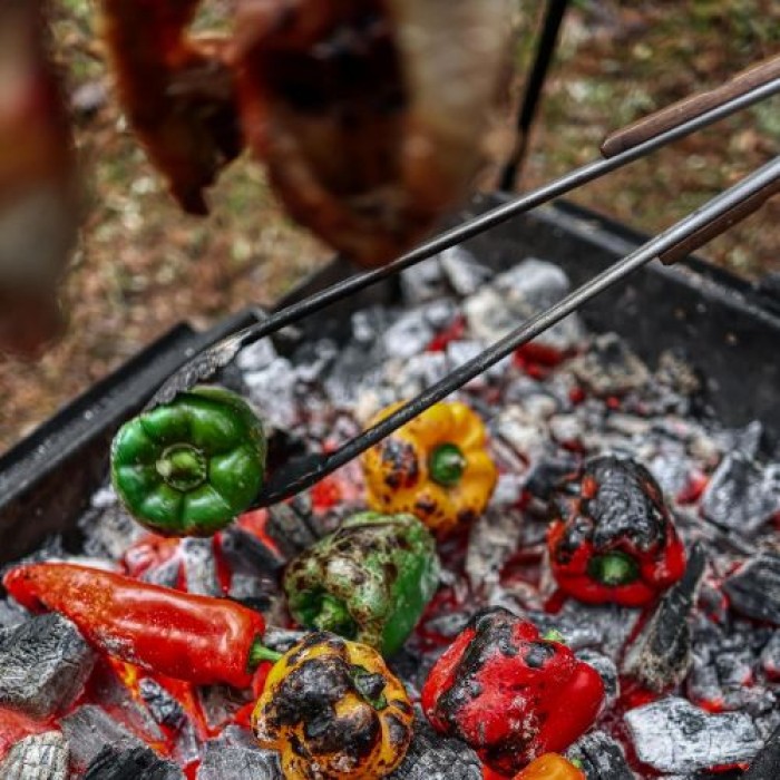 Petromax Grill- und Kohlezang, 54 cm, za2