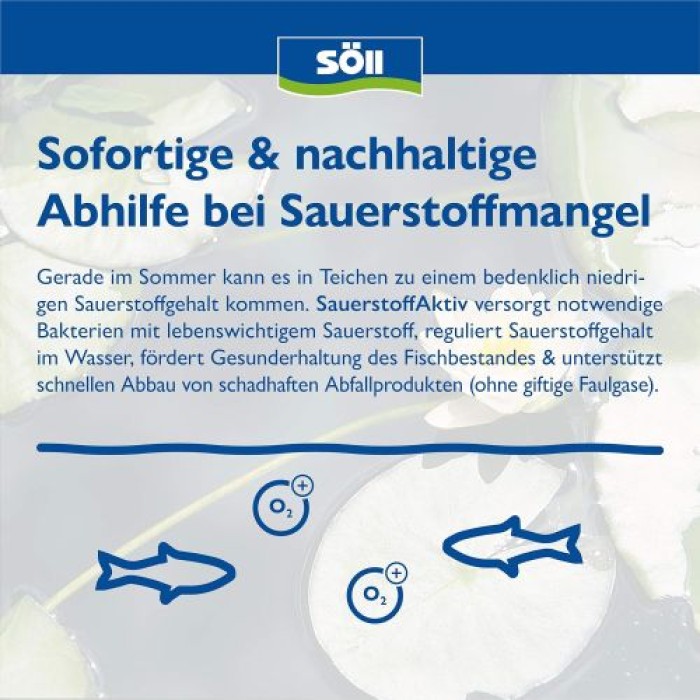 Söll SauerstoffAktiv, 500 g für 5000 Liter, 81798