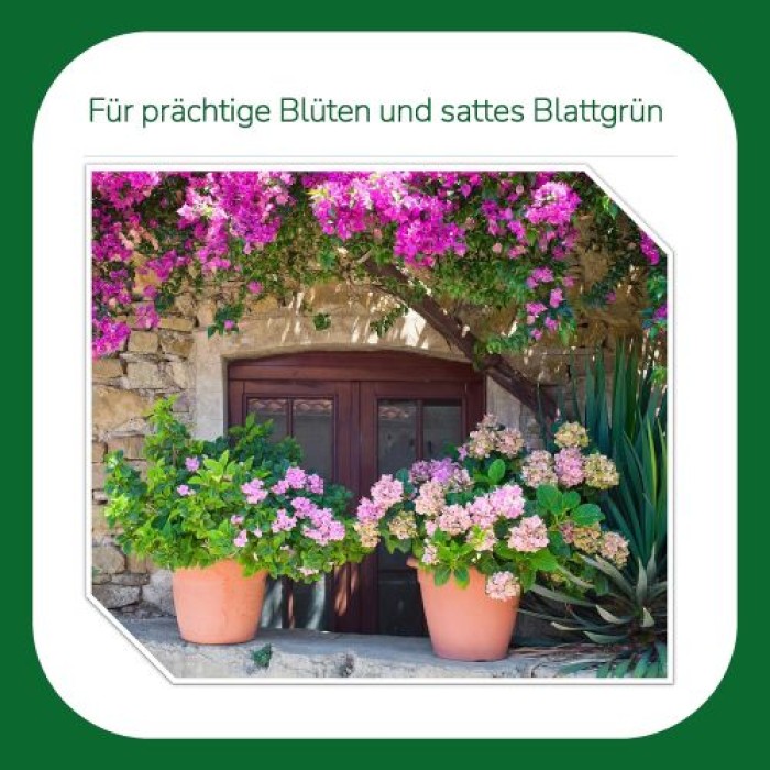 Substral Balkonpflanzen Nahrung Premium Flüssigdünger, 2 L, 22020