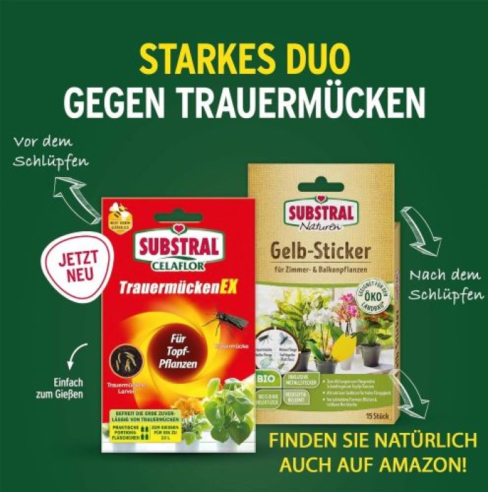 Substral Celaflor TrauermückenEX - 4 x 7,5 ml, 66750