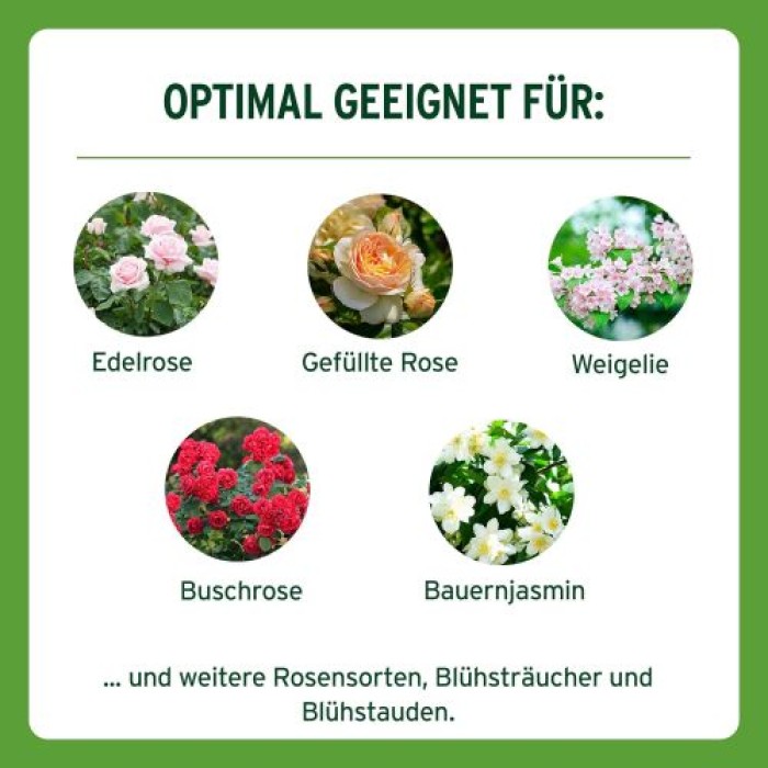 Substral Langzeit Depotdünger für Rosen & Blühpflanzen, 1,5 kg, 75040