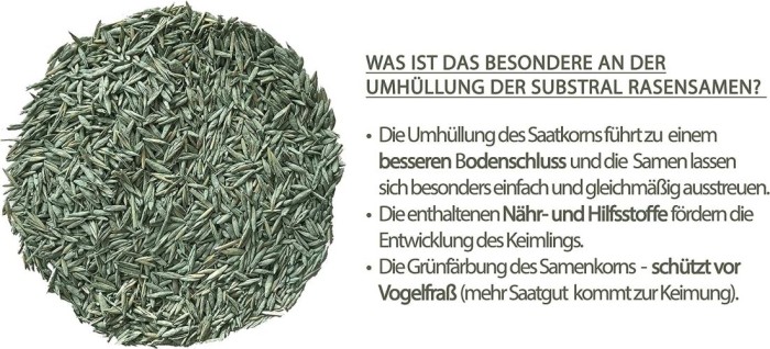 Substral Rasensamen Der Robuste, 2 kg für 100 m², 86121