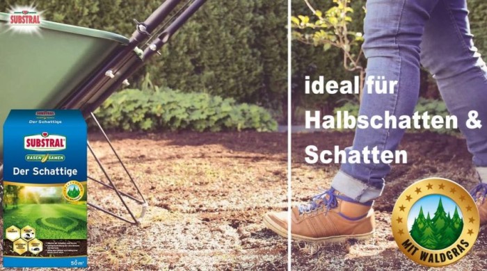 Substral Rasensamen Der Schattige, 1 kg für 50 m², 84961