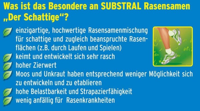 Substral Rasensamen Der Schattige, 1 kg für 50 m², 84961