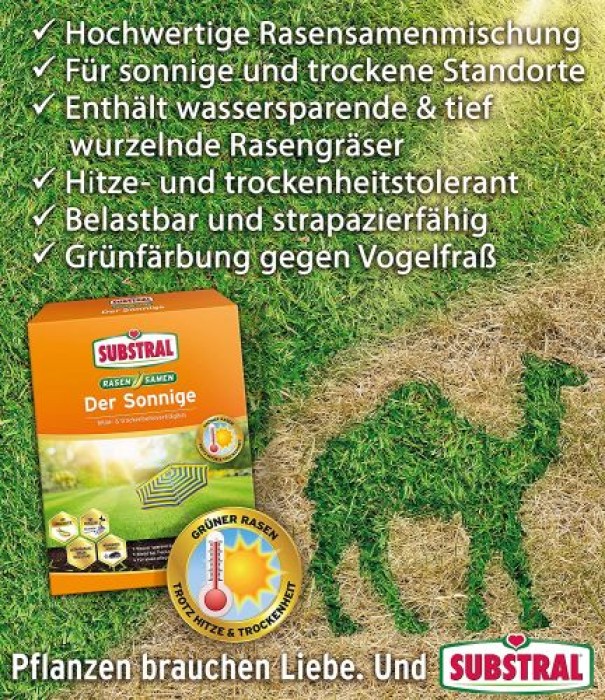 Substral Rasensamen Der Sonnige, Rasensamenmischung für sonnige und trockene Standorte, 1,125 kg, 89999C