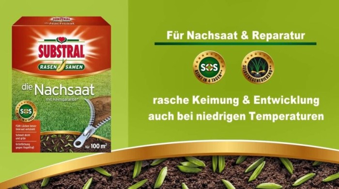 Substral Rasensamen Die Nachsaat, 1 kg für 50 m², 86291