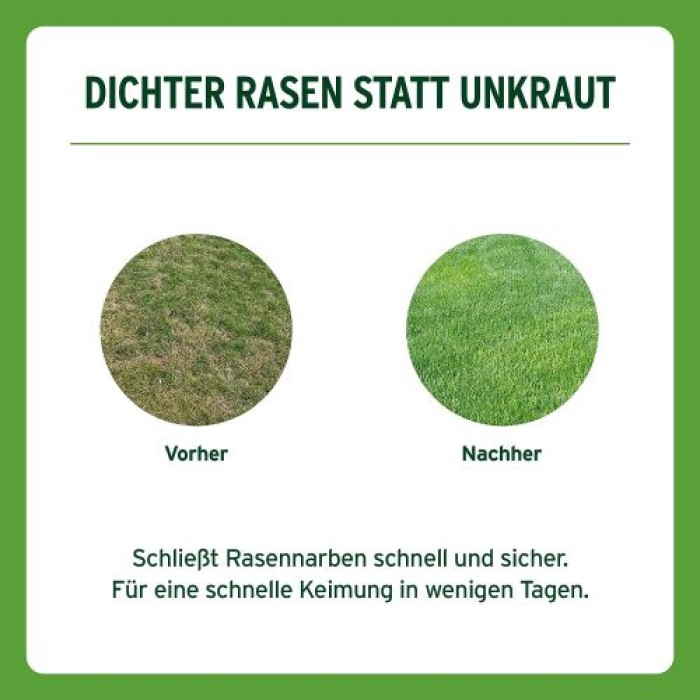 Substral Rasensamen Sport und Spiel, strapazierfähige Rasensaat-Mischung, 10kg, 500m², 86251