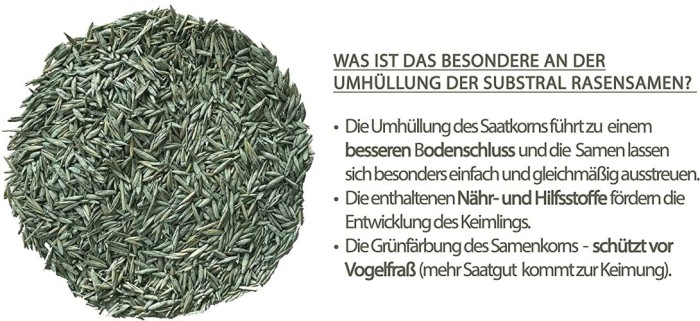 Substral Rasensamen Sport und Spiel, strapazierfähige Rasensaat-Mischung mit Grünfärbung gegen Vogelfraß, 2kg, 100m², Blau 2kg - 100qm Single 87971