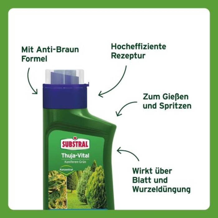 Substral Thuja-Vital, Spezial-Dünger zum Spritzen und Gießen für Thujen, Zypressen, Buchs, Kirschlorbeer, 500 ml, 66600