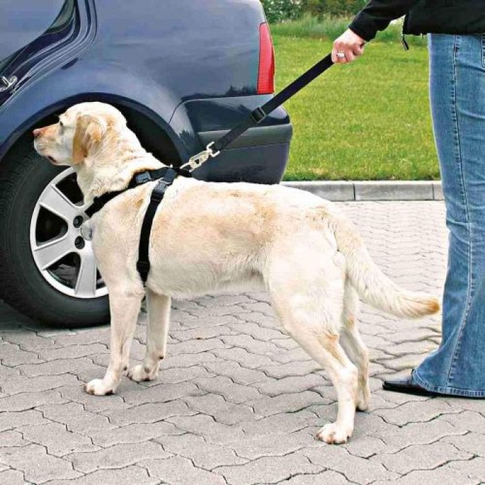 Trixie Auto-Geschirr, Größe L: 70–90 cm/25 mm, schwarz, 1292