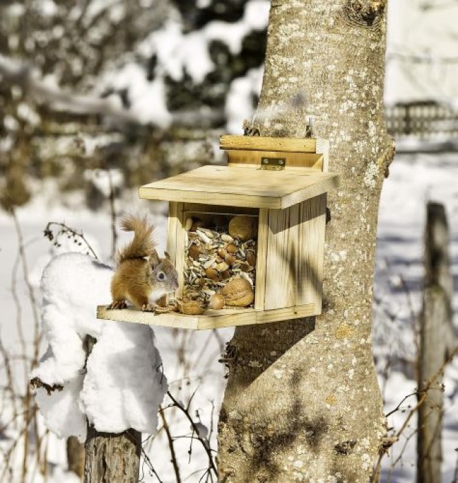 Windhager Eichhörnchen Futterstation, 17 x 17 x 18 cm, 05586