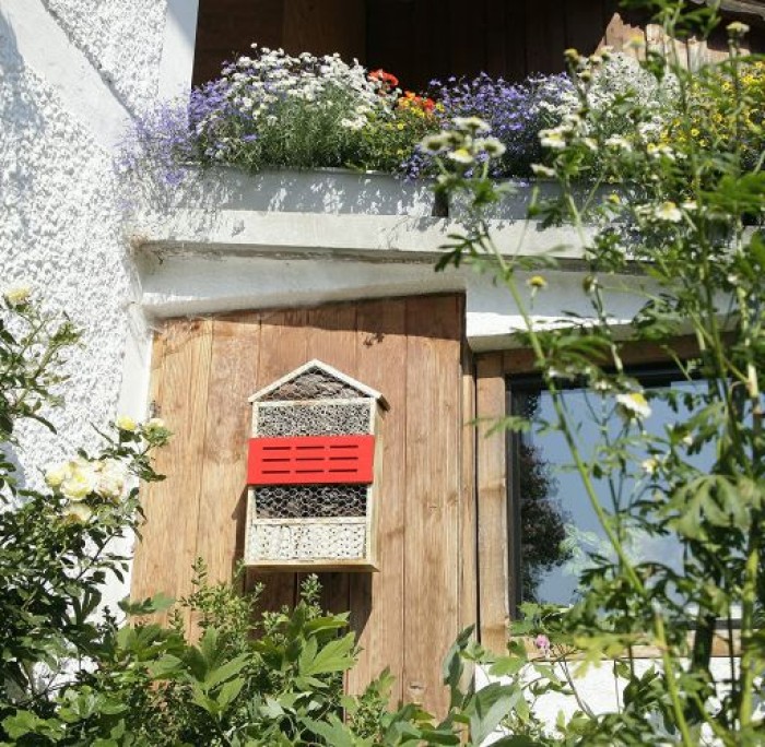 Windhager Insektenhotel 5 STERNE, aus Massivholz, gefüllt mit Rinde und Schilfrohr 06974