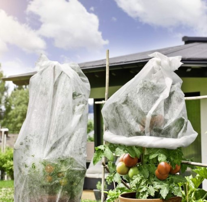 Windhager ÖKO-Tomatenvliesschlauch, erdölfrei, 18 g/m², 0,75 x 10 m, weiß, 6718