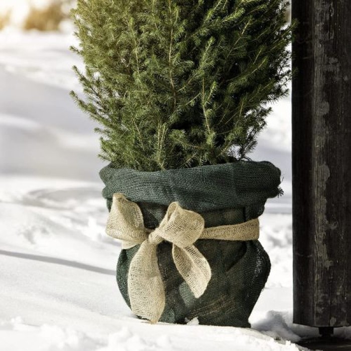 Windhager ÖKO, Jute, Stoff, Kartoffel-Sack, Deko-Beutel, Multifunktionaler Jutesack, Winterschutz für Topf-und Kübelpflanzen, grün, 70 x 100cm, 06071 06071