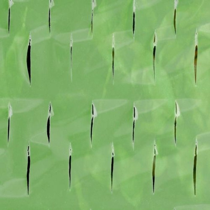 Windhager Tomaten-Folienhaube mitwachsend, Folie für Tomaten, 1,25 x 0,65 m, grün, 06765