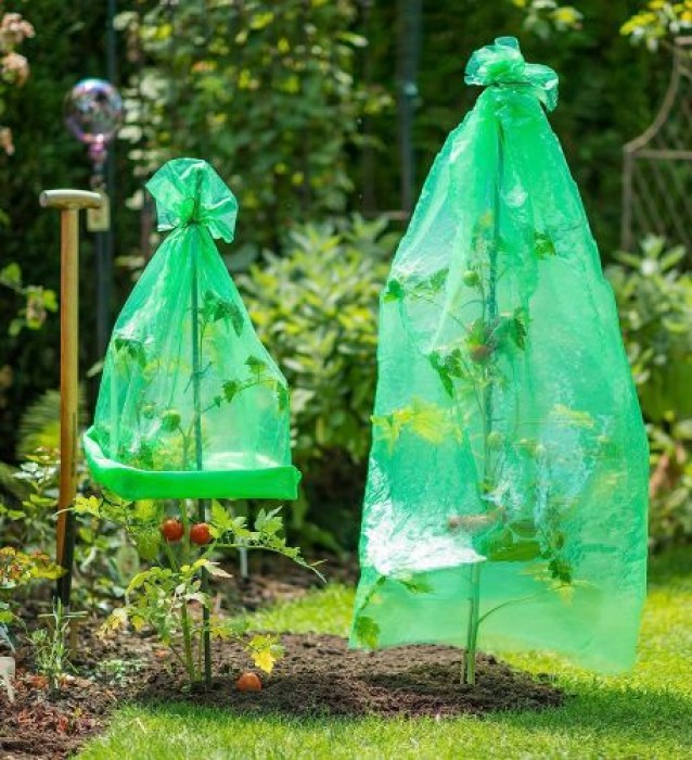 Windhager Tomaten-Folienhaube mitwachsend, Folie für Tomaten, 1,25 x 0,65 m, grün, 06765