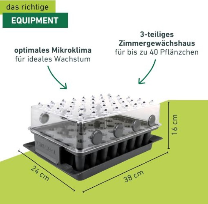 Windhager Wurzelvorschule RootXtender, Zimmergewächshaus für 40 Pflanzen, 05849