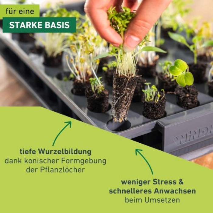 Windhager Wurzelvorschule RootXtender, Zimmergewächshaus für 40 Pflanzen, 05849