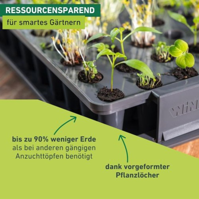 Windhager Wurzelvorschule RootXtender, Zimmergewächshaus für 40 Pflanzen, 05849