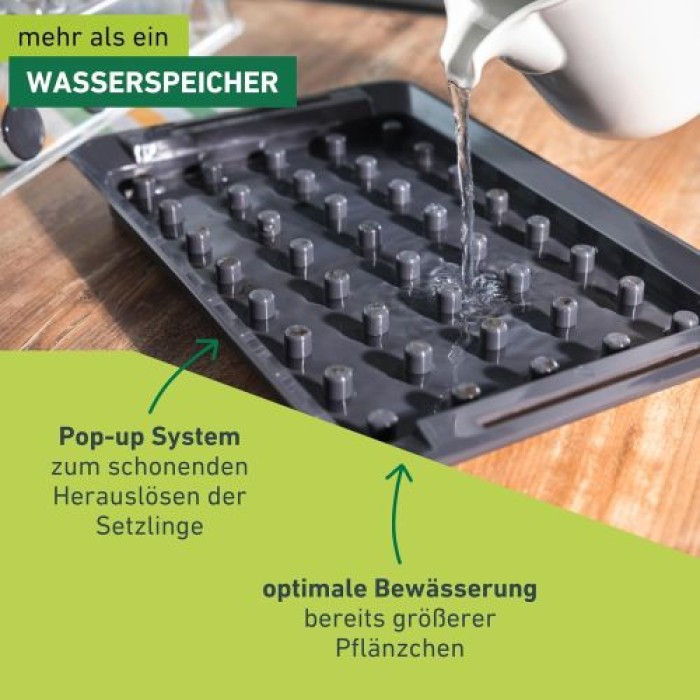 Windhager Wurzelvorschule RootXtender, Zimmergewächshaus für 40 Pflanzen, 05849