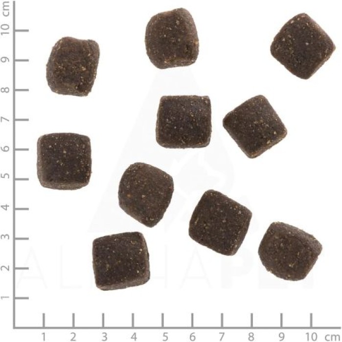 Wolfsblut Squashies, Cold River, Forellle und Süßkartoffeln, 100 g, WB785308