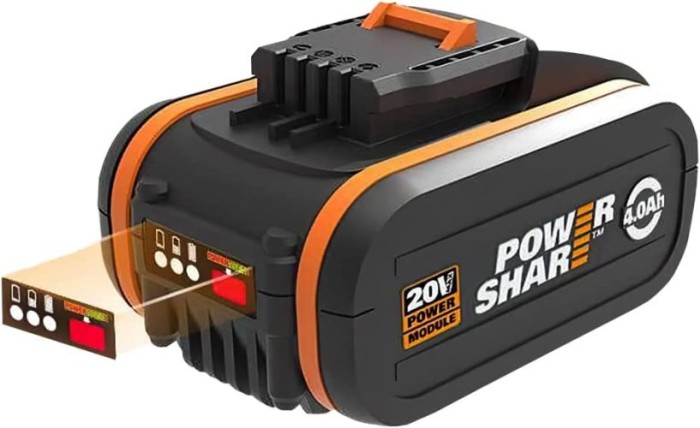 WORX 12cm Akku-Einhand-Astsäge 20V - mit Akku und Ladegerät, WG324E