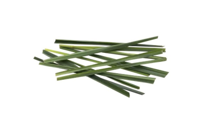 Infraduftgel 80g Zitronengras 1-031-154